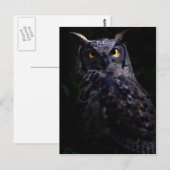 Scary owl Halloween Briefkaart (Voorkant / Achterkant)