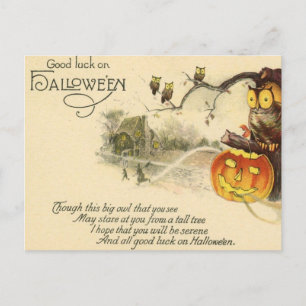 Scary Owl Jack O Lantern Witches Halloween Briefkaart
