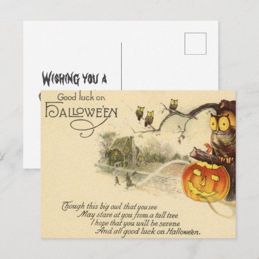  Scary Owl Jack O Lantern Witches Halloween Briefkaart (Voorkant / Achterkant)