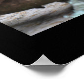 Scary Possum - Poster (Hoek)