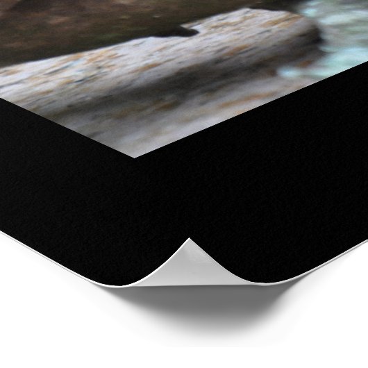 Scary Possum - Poster (Hoek)