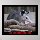 Scary Possum - Poster (Voorkant)
