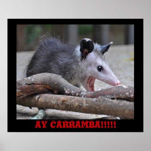 Scary Possum - Poster (Voorkant)