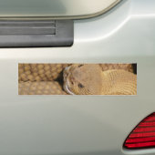 Scary Rattlesnake Photo Bumpersticker (Op auto)