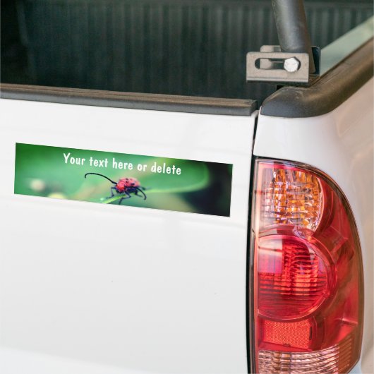 Scary Red Spotted Beetle Nature Personalized Bumpersticker (Op Truck)