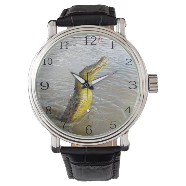 Scary Snappers: De Sprong van de Krokodil, Horloge (Voorkant)