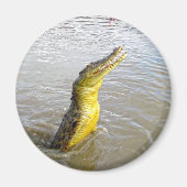 Scary Snappers: De Sprong van de Krokodil, Magneet (Voorkant)
