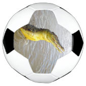 Scary Snappers: De Sprong van de Krokodil, Voetbal (Gedraaid)