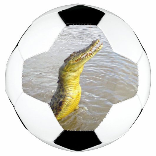 Scary Snappers: De Sprong van de Krokodil, Voetbal (Voorkant)