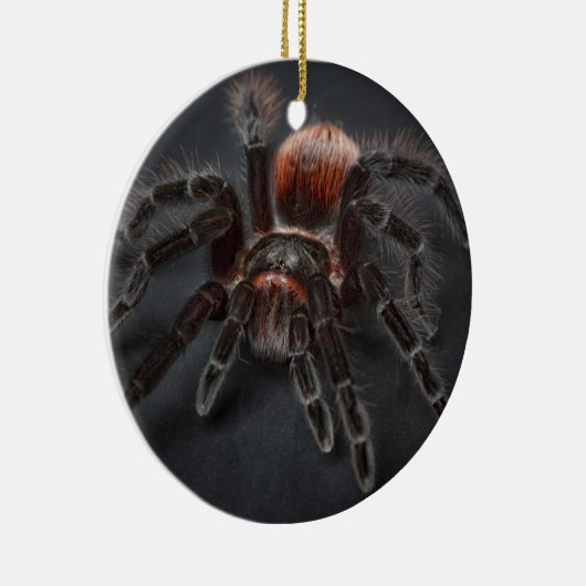 Scary Tarantula Spider Arachnofobie Keramisch Ornament (Rechts)