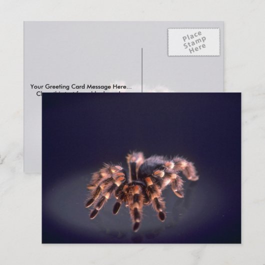 Scary Tarantula spider Briefkaart (Voorkant / Achterkant)