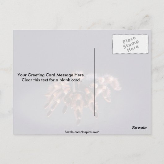 Scary Tarantula spider Briefkaart (Achterkant)