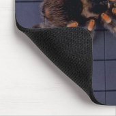 Scary Tarantula spin and white mouse Muismat (Hoek)