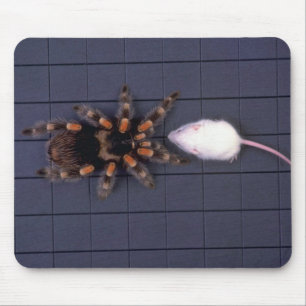 Scary Tarantula spin and white mouse Muismat