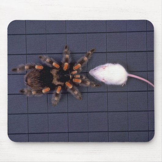 Scary Tarantula spin and white mouse Muismat (Voorkant)