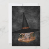 Scary Toad Face In Witch Hat Halloween Kaart (Achterkant)