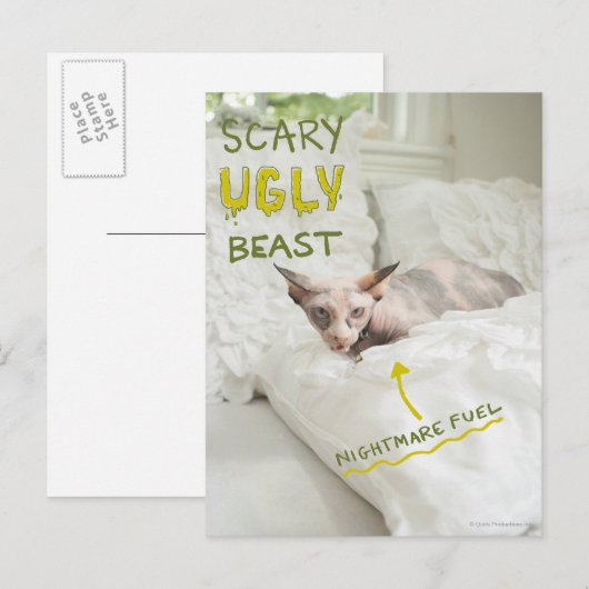 Scary Ugly Cat Briefkaart (Voorkant / Achterkant)