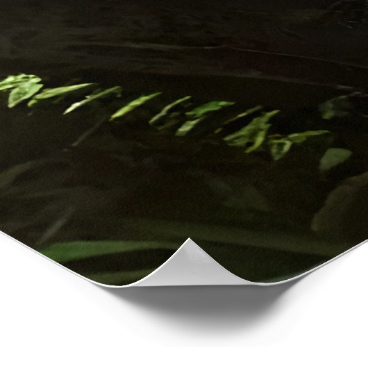 Scary wolf beast in het bos | AI Art Poster (Hoek)