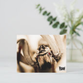 Scary Wolf Spider Briefkaart (Staand voorkant)