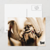 Scary Wolf Spider Briefkaart (Voorkant / Achterkant)