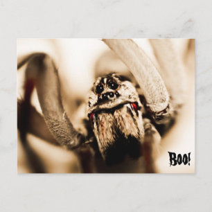 Scary Wolf Spider Briefkaart