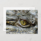 Scary Yellow Eye of Crocodile Briefkaart (Voorkant / Achterkant)