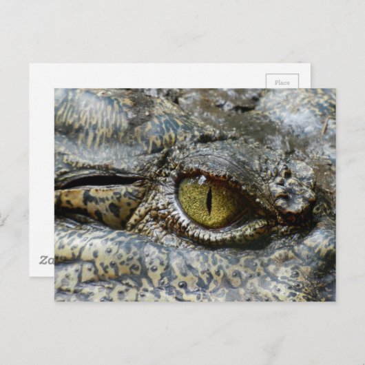 Scary Yellow Eye of Crocodile Briefkaart (Voorkant / Achterkant)