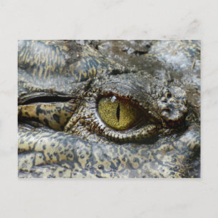 Scary Yellow Eye of Crocodile Briefkaart