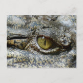 Scary Yellow Eye of Crocodile Briefkaart (Voorkant)