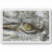 Scary Yellow Eye of Crocodile Sticker (Voorkant)