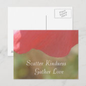 Scatter Kindness Pink Poppy Flower Briefkaart (Voorkant / Achterkant)