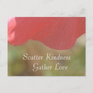 Scatter Kindness Pink Poppy Flower Briefkaart