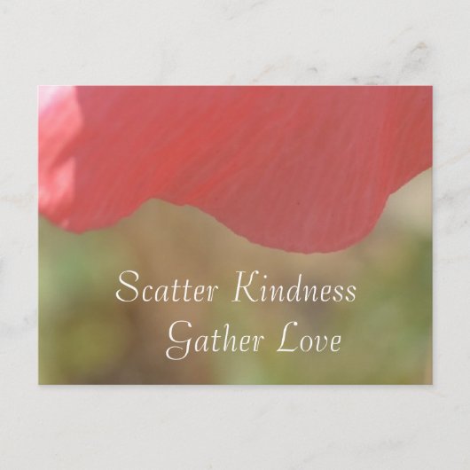 Scatter Kindness Pink Poppy Flower Briefkaart (Voorkant)