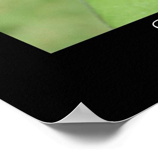 Scatter Kindness Sunflower Poster (Hoek)