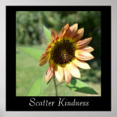 Scatter Kindness Sunflower Poster (Voorkant)