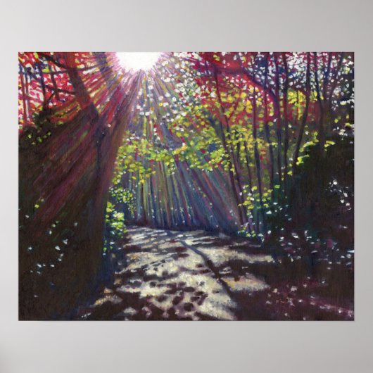 Scattered light 2013 poster (Voorkant)