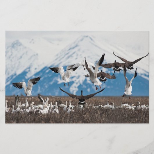 Scattering Geese Briefpapier (Voorkant)