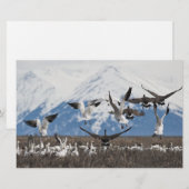 Scattering Geese Briefpapier (Voorkant / Achterkant)