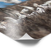 Scattering Geese Foto Afdruk (Hoek)