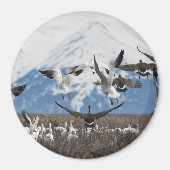 Scattering Geese Magneet (Voorkant)