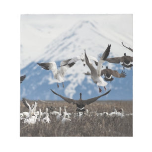 Scattering Geese Notitieblok