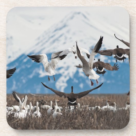 Scattering Geese Onderzetter (Voorkant)