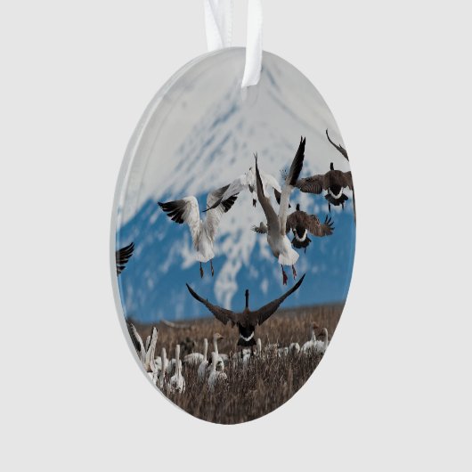 Scattering Geese Ornament (voorkant)