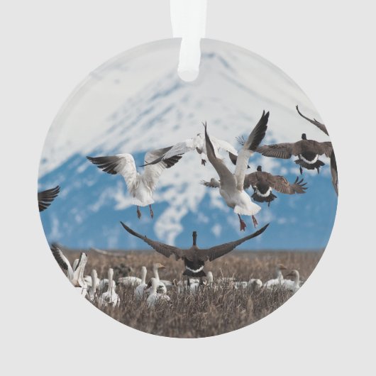 Scattering Geese Ornament (achterkant)