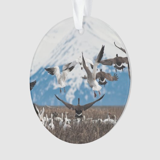 Scattering Geese Ornament (voorkant)