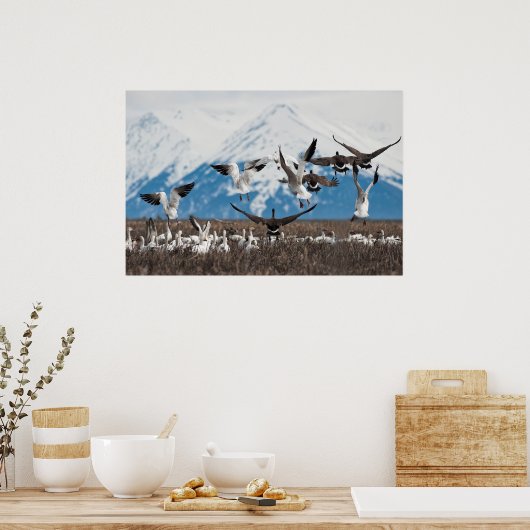 Scattering Geese Poster (Keuken)