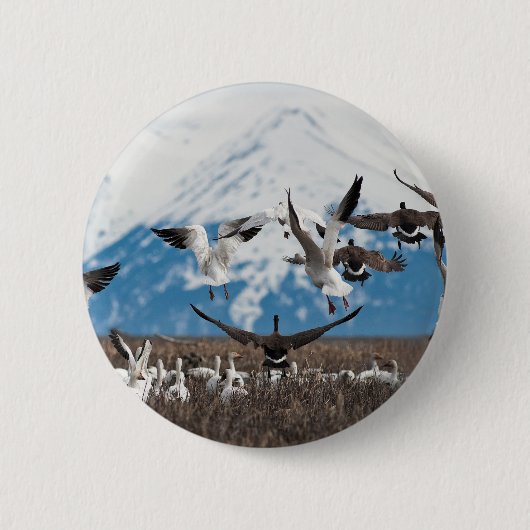 Scattering Geese Ronde Button 5,7 Cm (Voorkant)