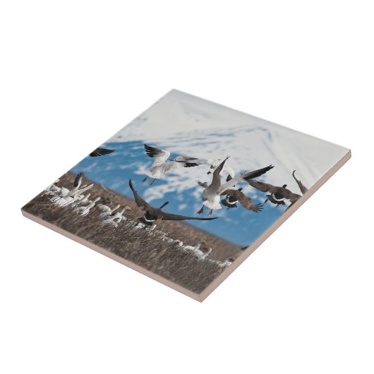 Scattering Geese Tegeltje (Zijkant)