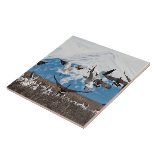 Scattering Geese Tegeltje (Zijkant)