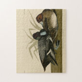 Scaup Duck (Lesser Scaup) Audubon Birds of America Legpuzzel (Verticaal)